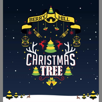 Berry Hill Christmas Lights