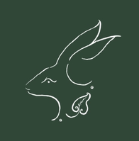 HARE