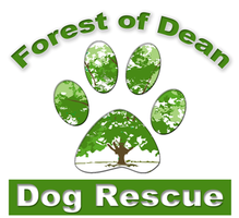 Forest of Dean Dog Rescue